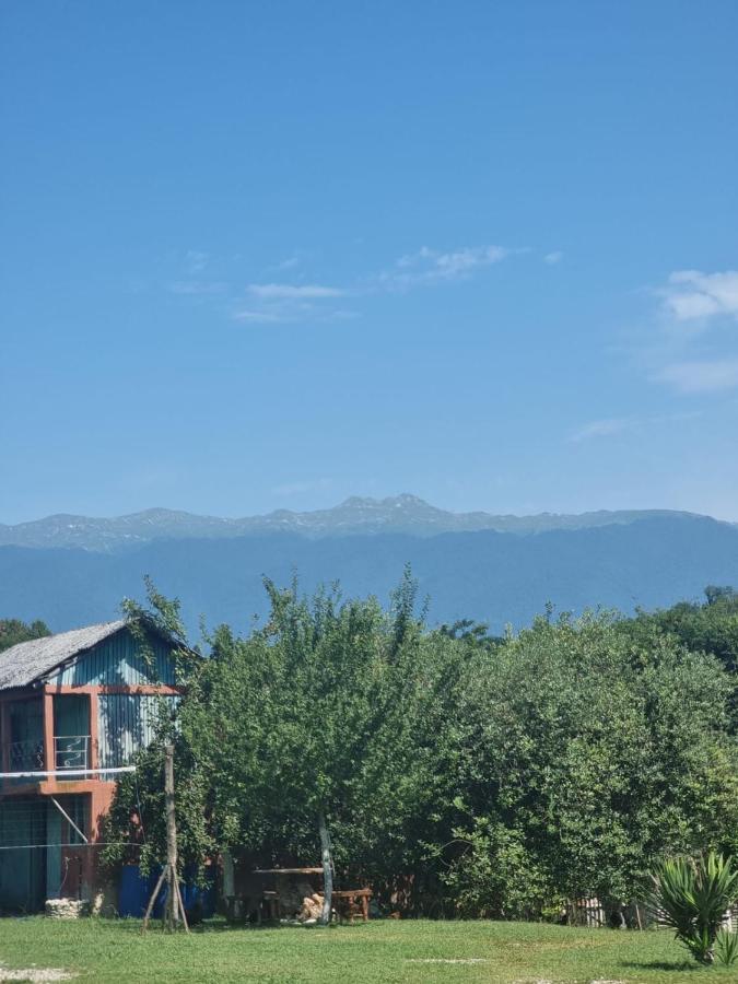 Guesthouse At Oleg'S Zolotoy Bereg 古达乌塔 外观 照片