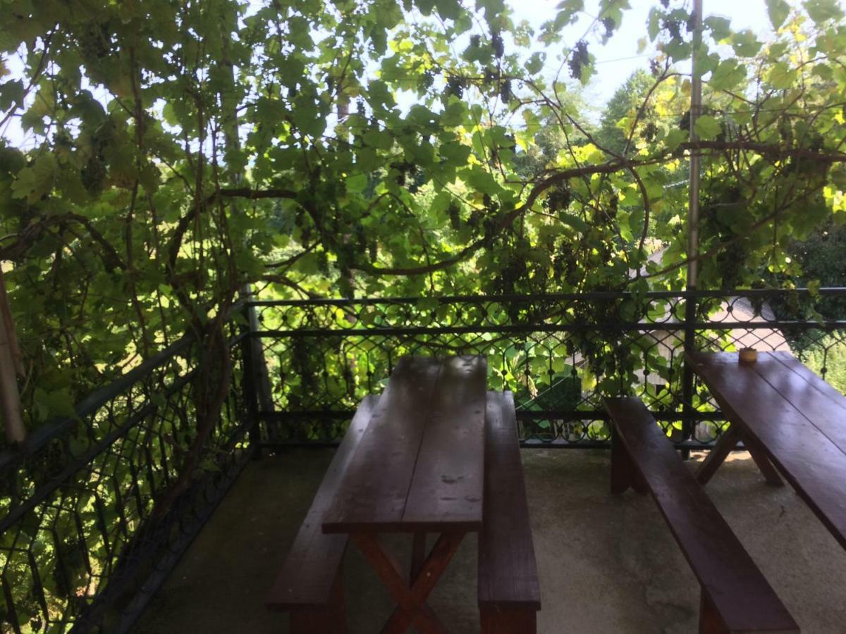 Guesthouse At Oleg'S Zolotoy Bereg 古达乌塔 外观 照片